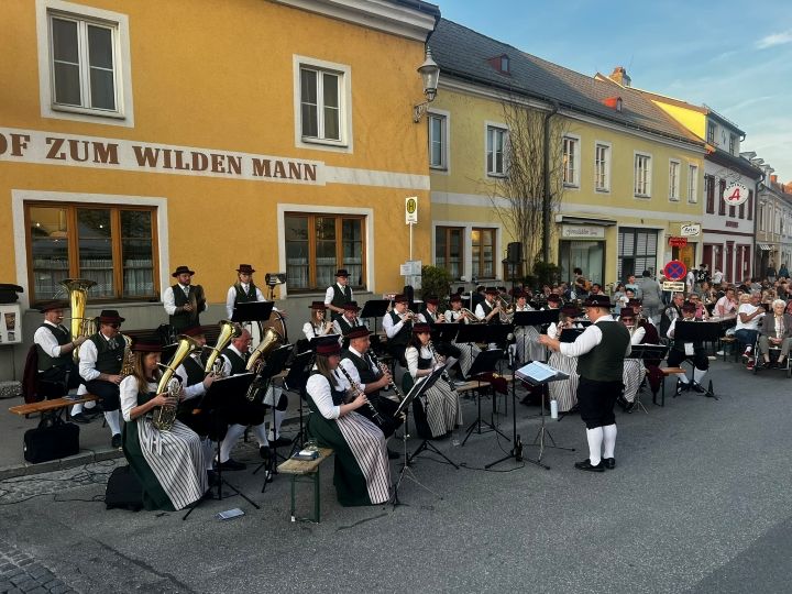 maibaumsetzen-2025_bild-1_v2.jpg